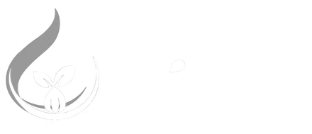 Zenut