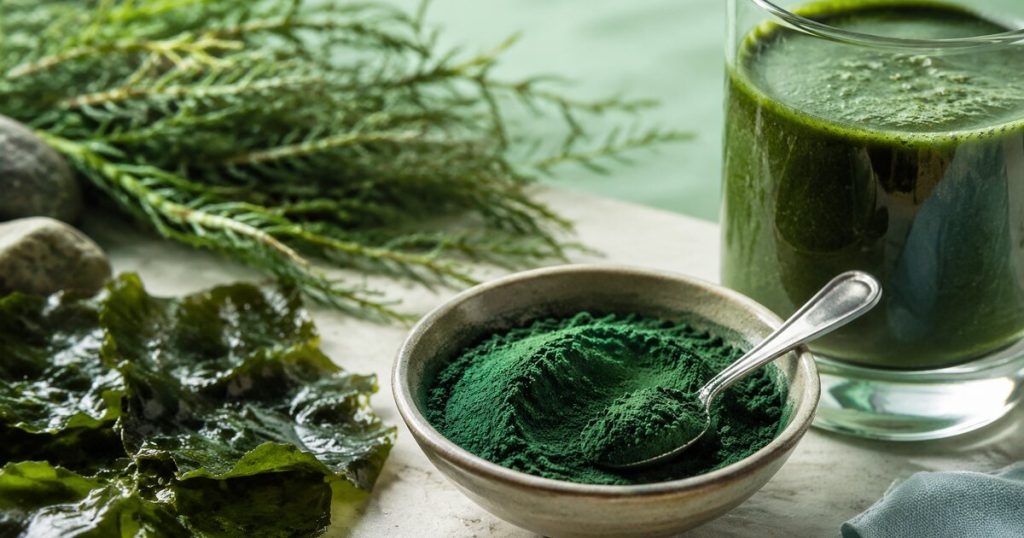Tảo Spirulina là gì? Giá trị và giới hạn cần hiểu đúng